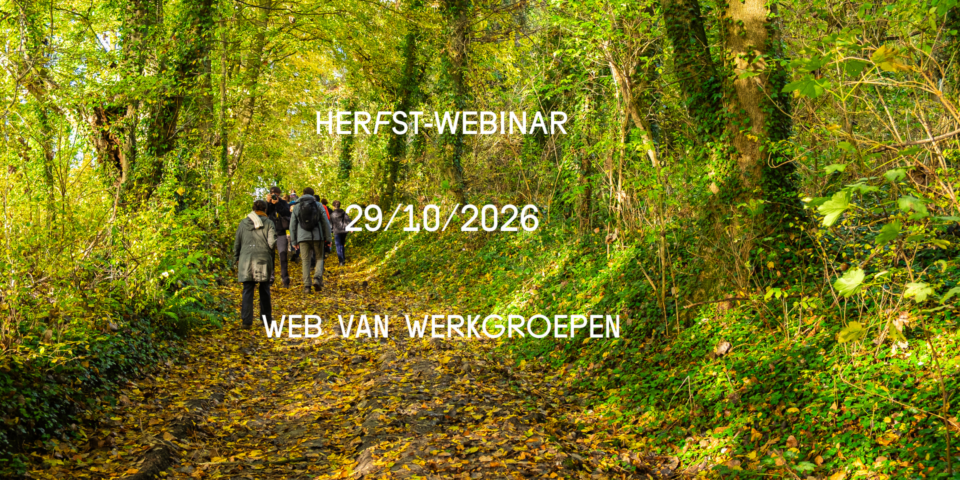Web van werkgroepen Herfst Header
