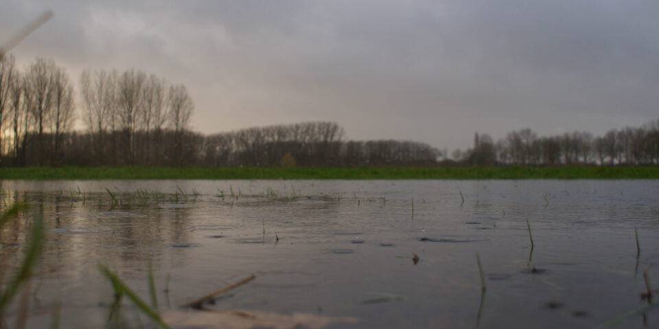 DSC06656