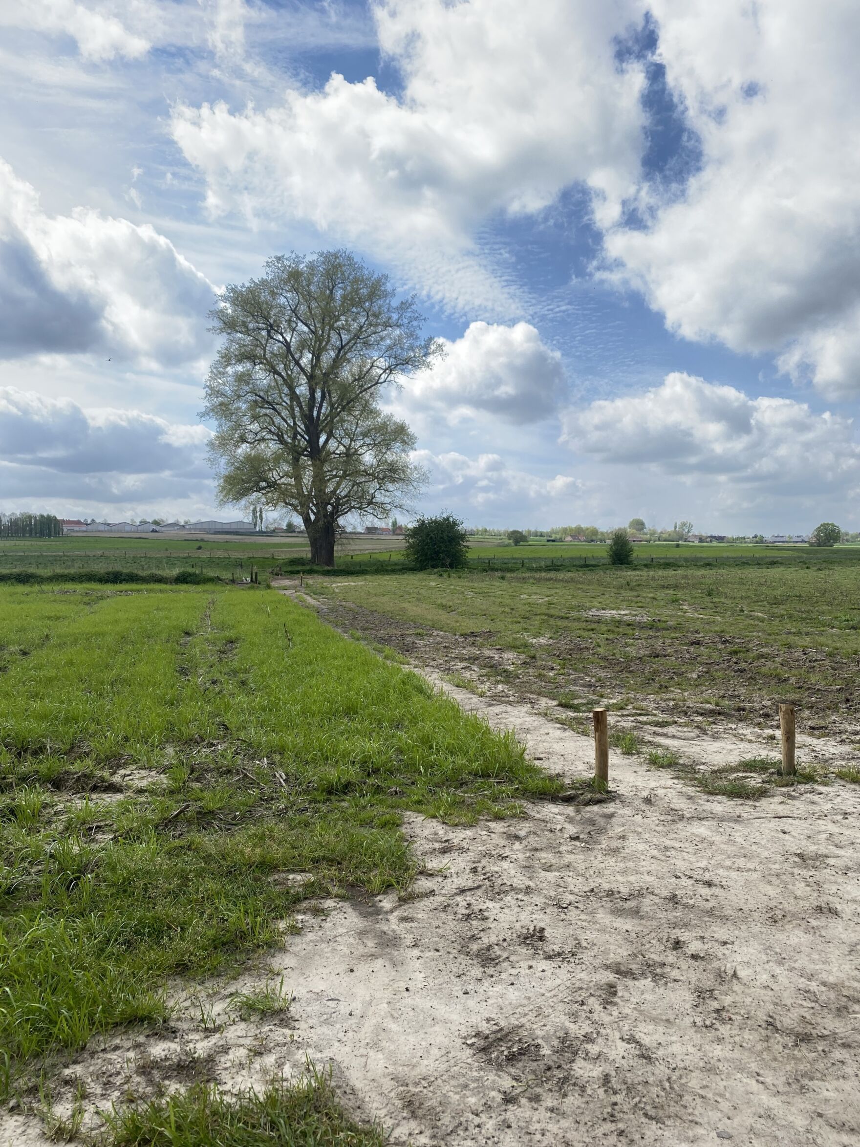 Sentier 26 - na
