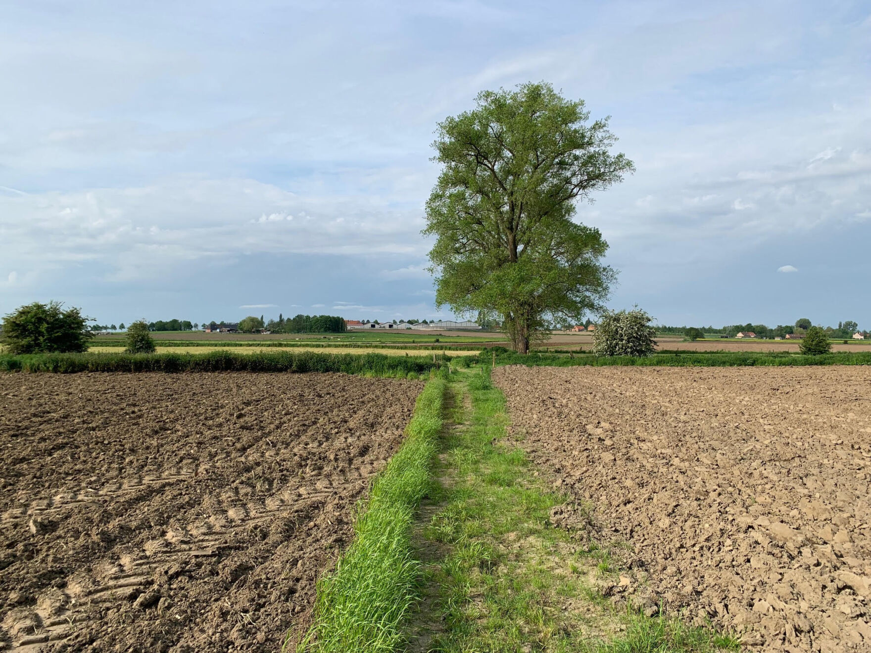 Terreinwerken na onderhandeling 1