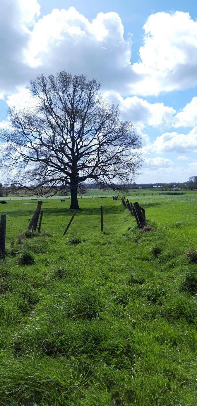 Kruiseke - voor