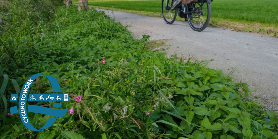 PVDH4322 Heihoekse kerkwegel close up berm fietswiel