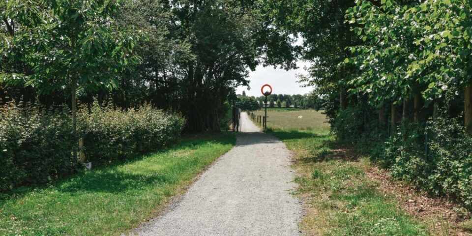 Maldegem