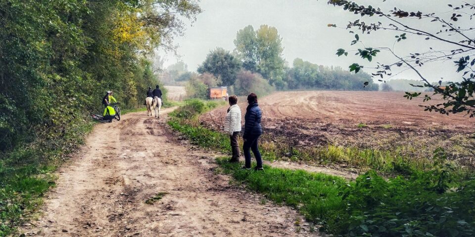Ruiters wandelaars fietsers