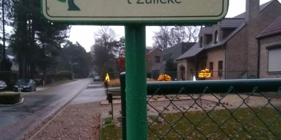 T Zulleke