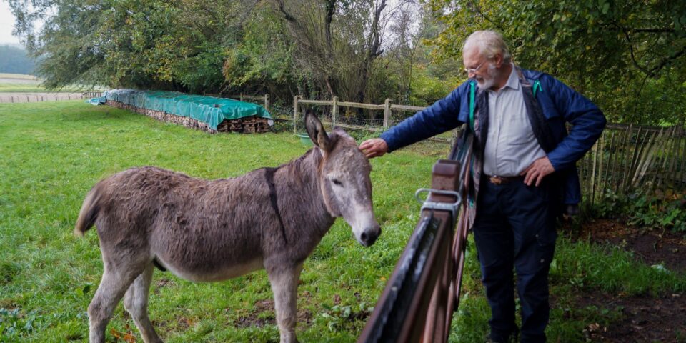 Wow3020 Patrick Ezel